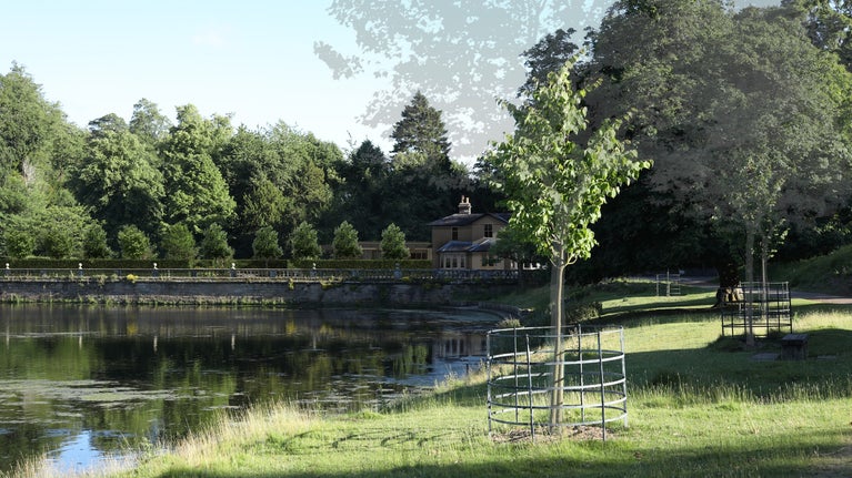 An illustration of the tearoom across the lake, with trees and path in the foreground